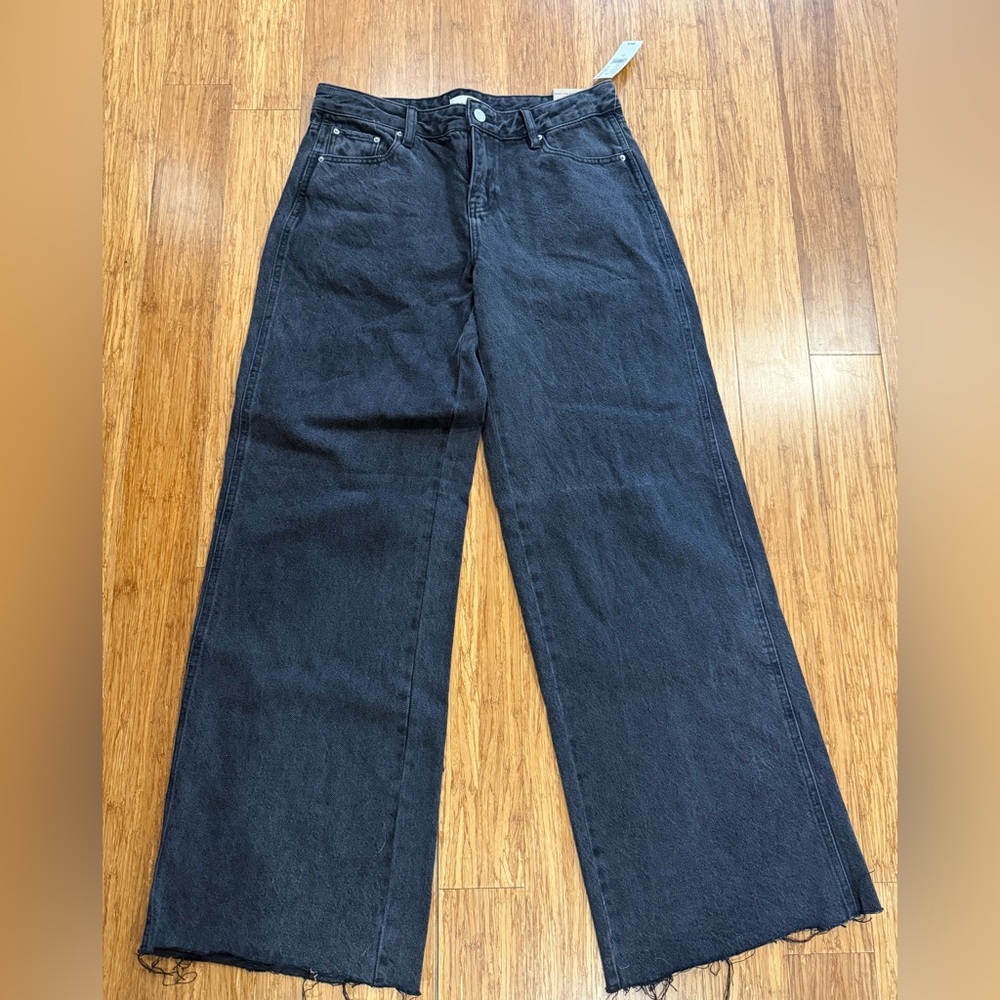 NWT PacSun Casey Low Rise Baggy Jeans